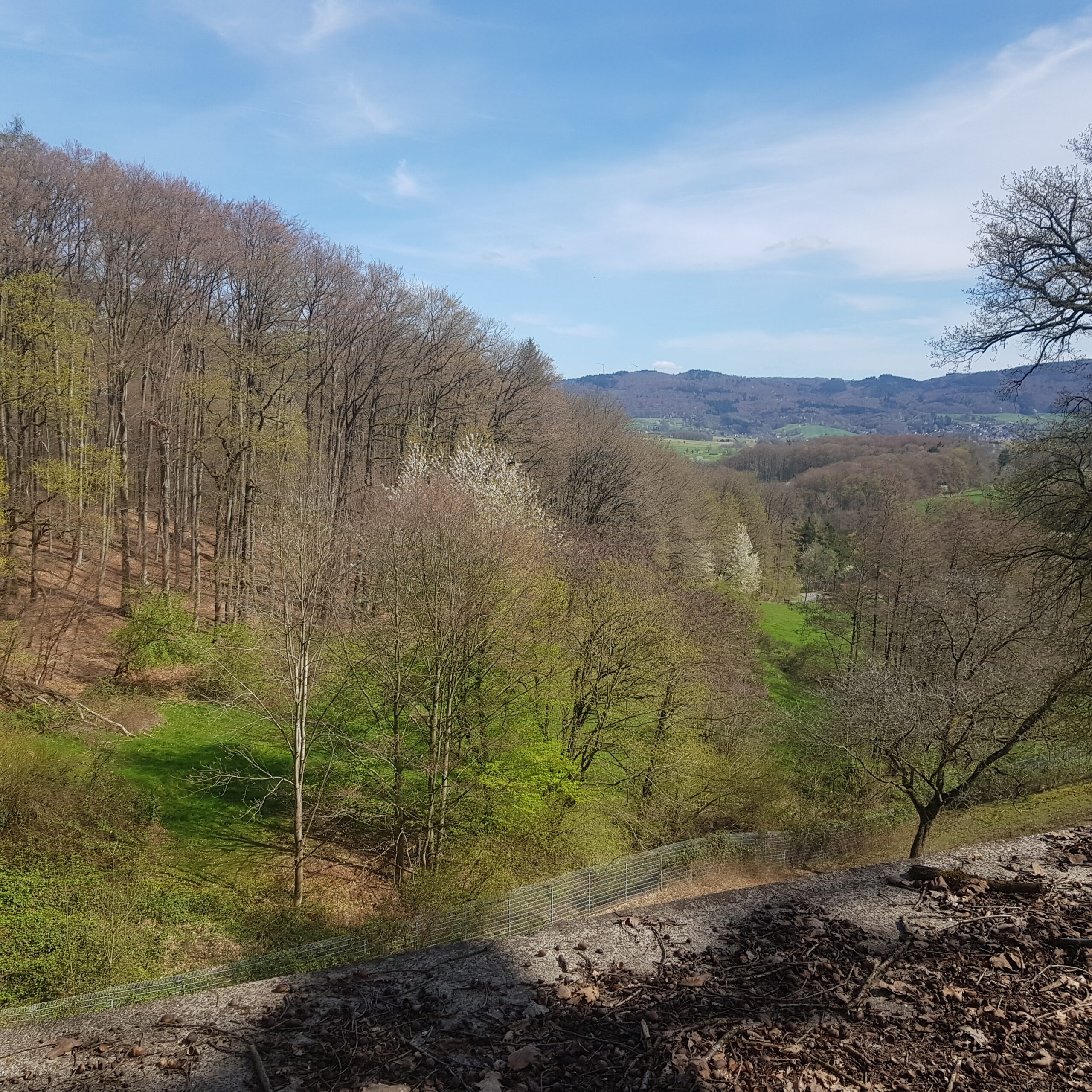 Blick über den Odenwald vom Bergtierpark