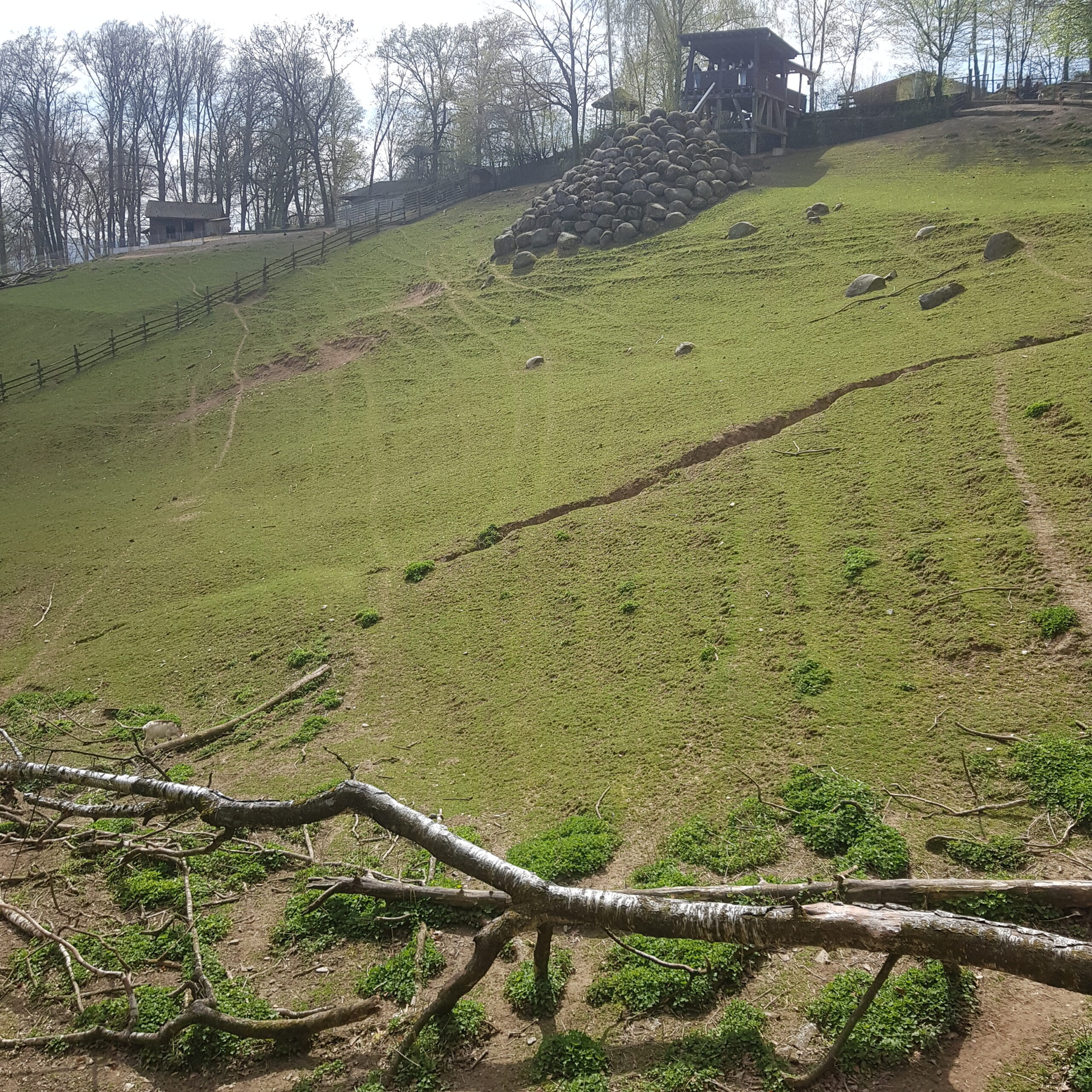 Weitläufiges und hügeliges Gelände des Bergtierparks