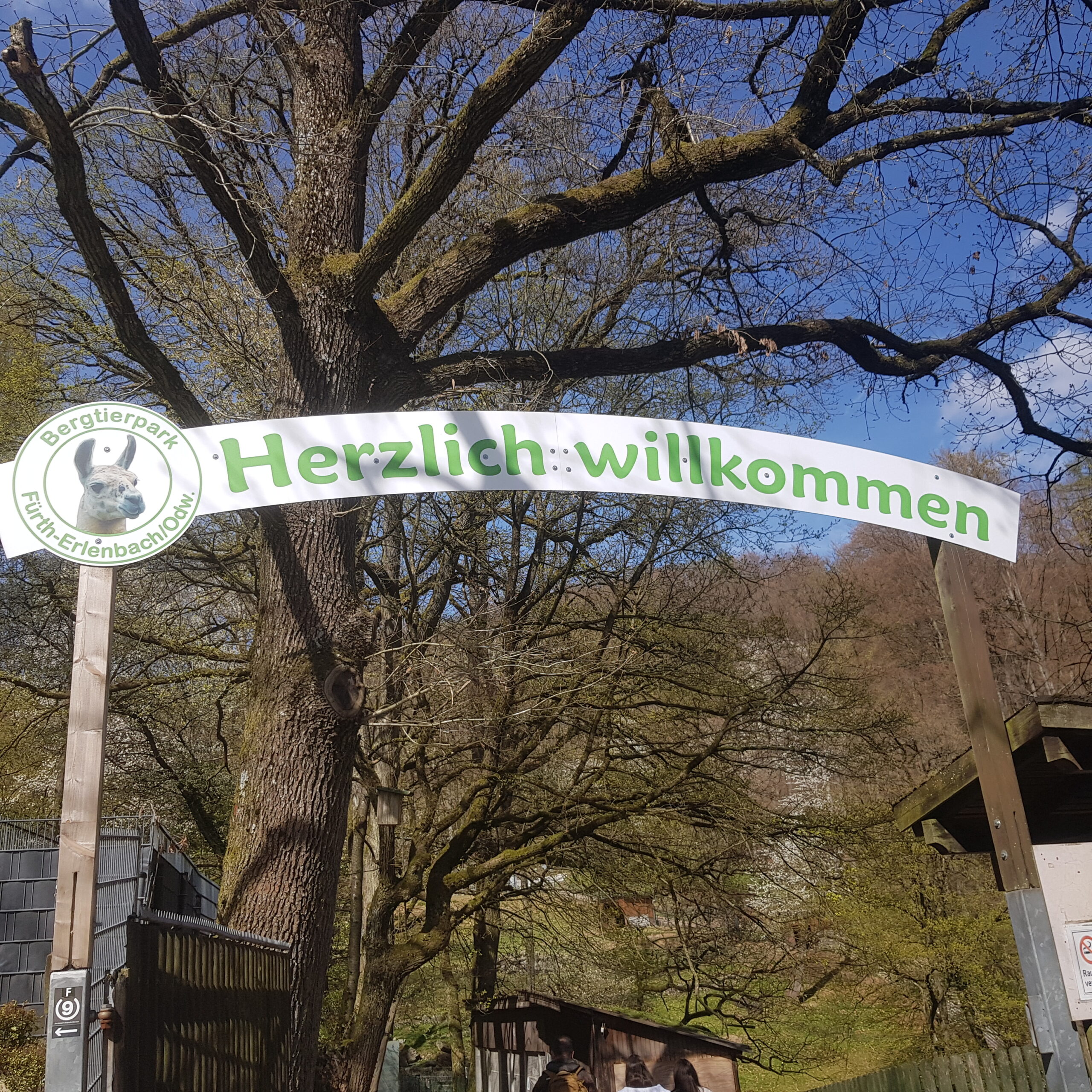 Bergtierpark Erlenbach: Ausflugstipp für Familien aus Heidelberg