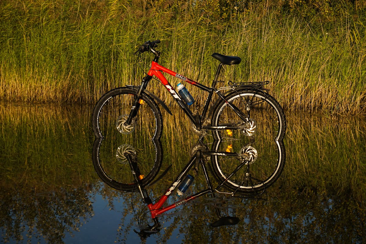 Führerschein umtauschen 2026: Wer jetzt handeln muss und was es kostet