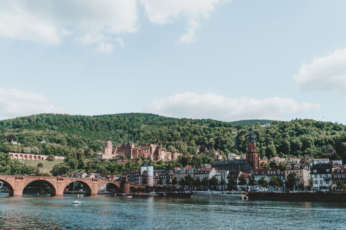 Der Neckar in Heidelberg: Geschichte, Freizeit, Ökologie und alles rund um den Fluss