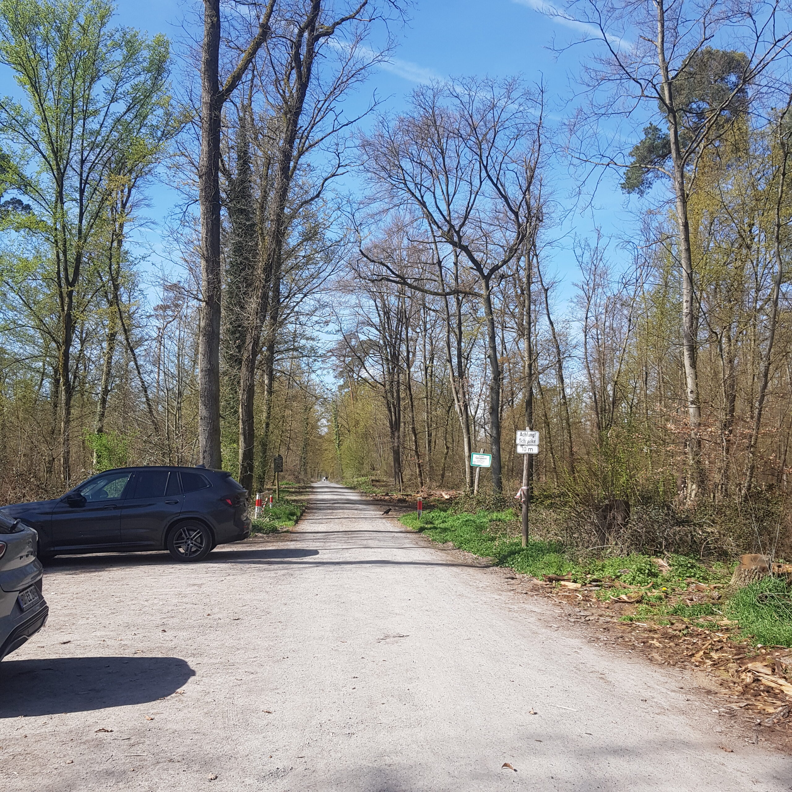 Eingang zum Oftersheimer Wald