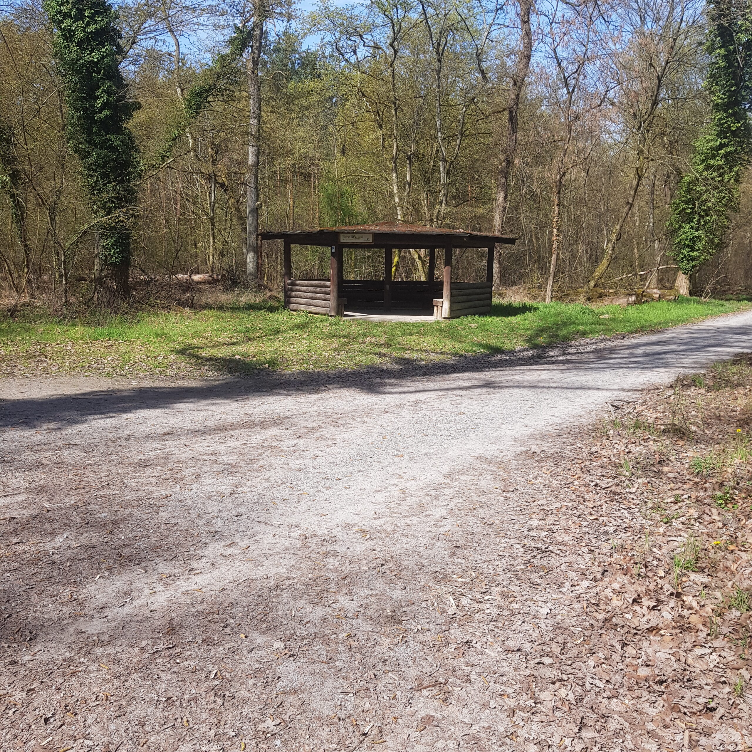 Rastplatz im Oftersheimer Wald