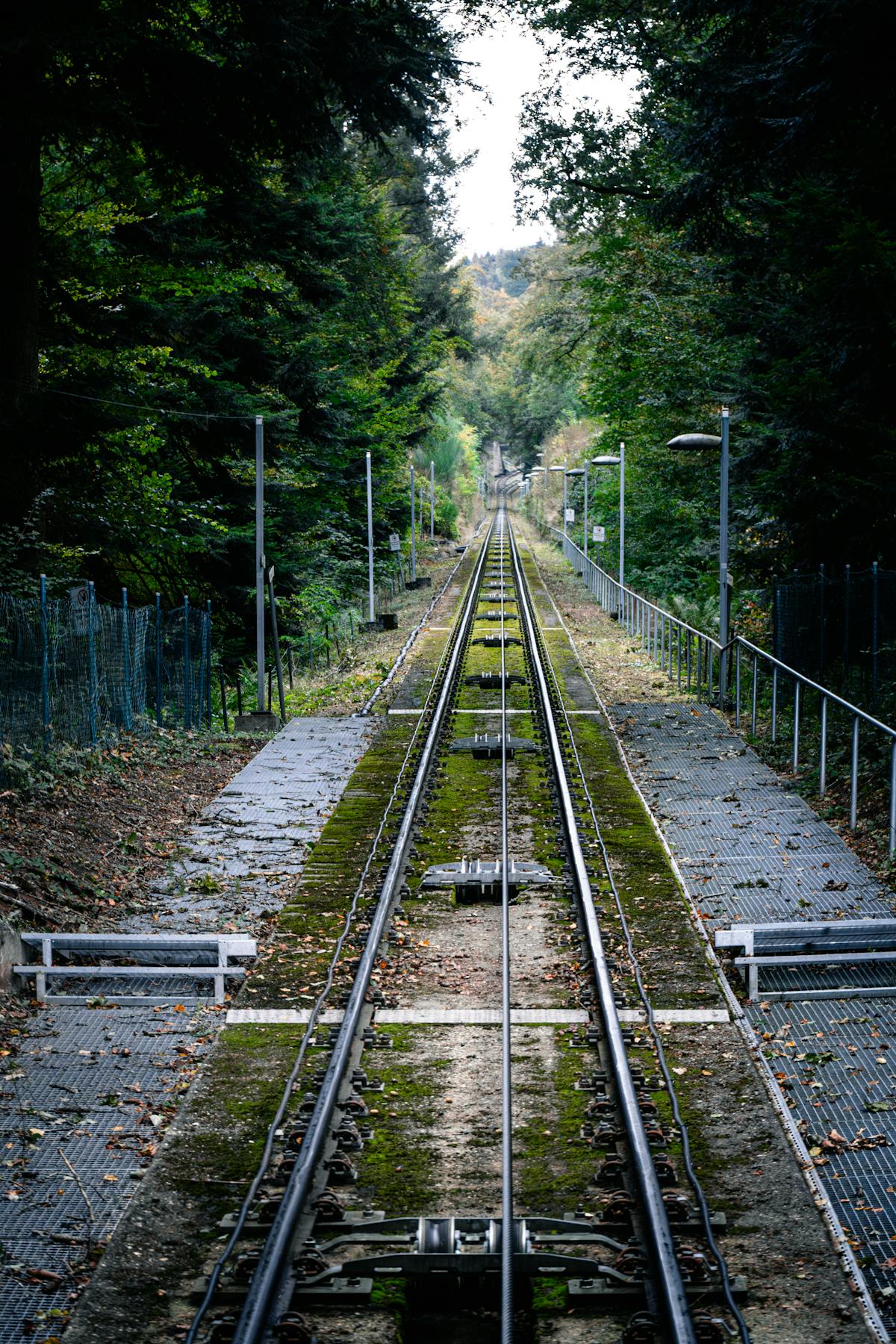 Bergbahn Heidelberg: Wie kommt man am schnellsten aufs Schloss und zum Königstuhl?