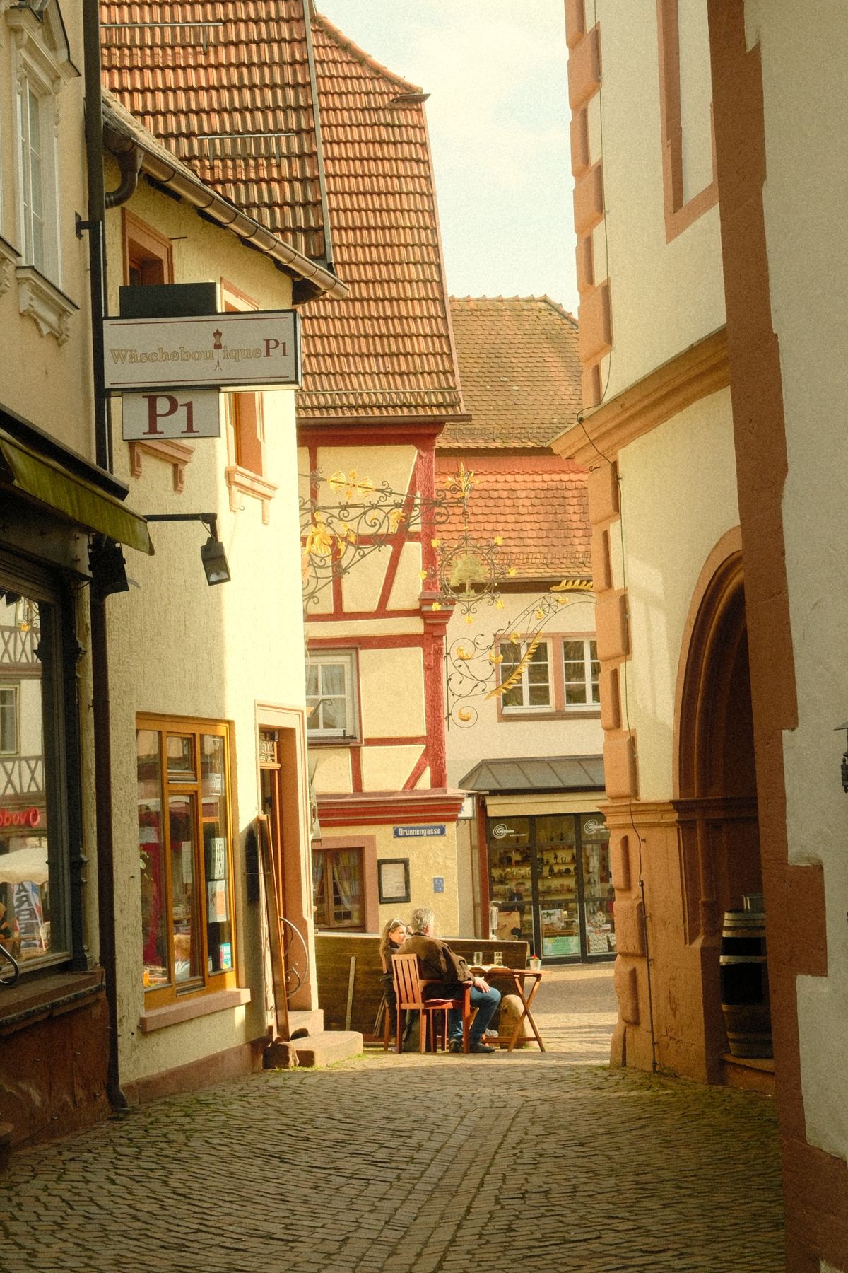 Weinheim als Ausflugsziel: Burg Windeck, Exotenwald und historische Altstadt