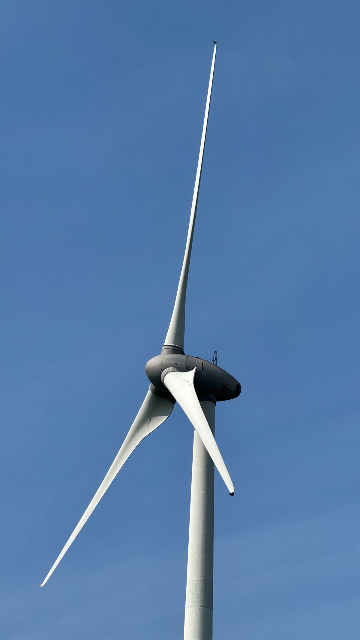 Bürgerentscheid Lammerskopf: Heidelberg stimmt mit Zweidrittelmehrheit für Windkraft