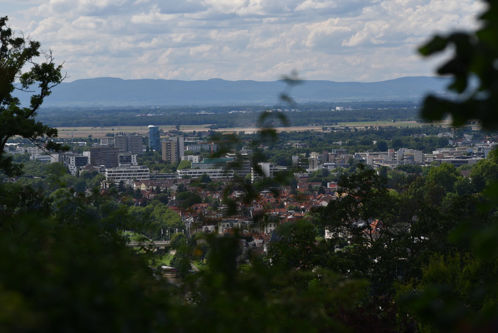 Was ist der Olympiastützpunkt Metropolregion Rhein-Neckar und wie fördert er Spitzensportler?