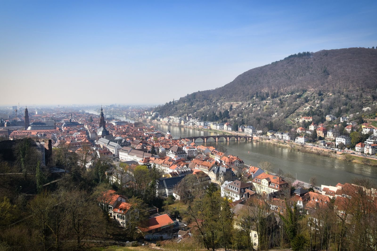 Laternenumzug Königstuhl Heidelberg 2026: St. Martin im Märchenparadies