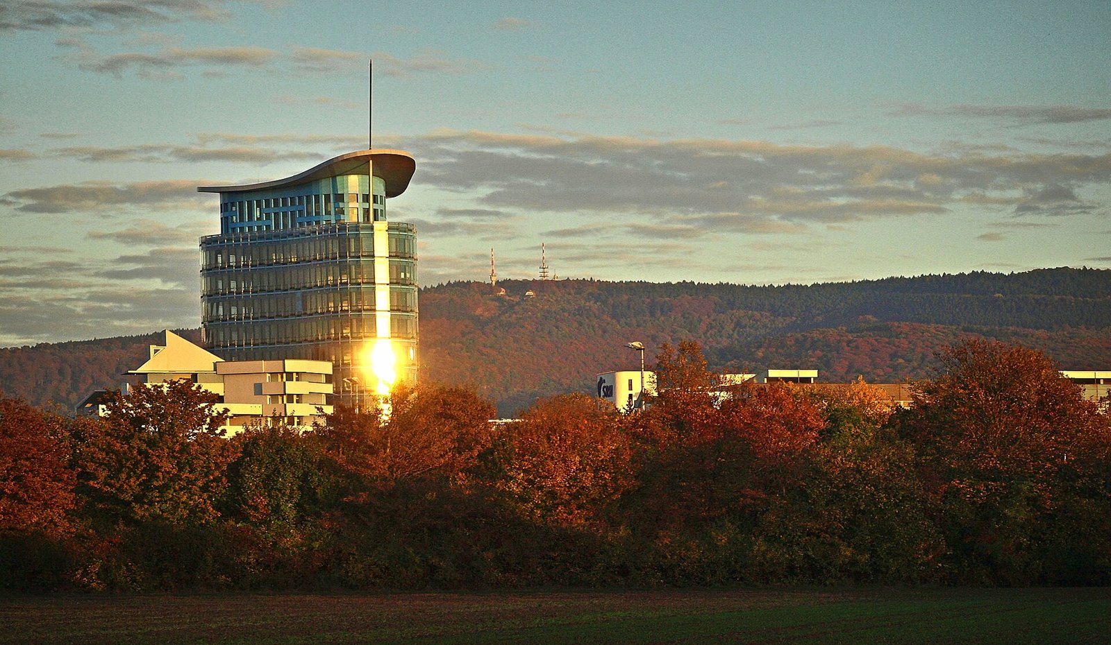 SRH University richtet sich neu aus: Heidelberg bleibt Kernstandort