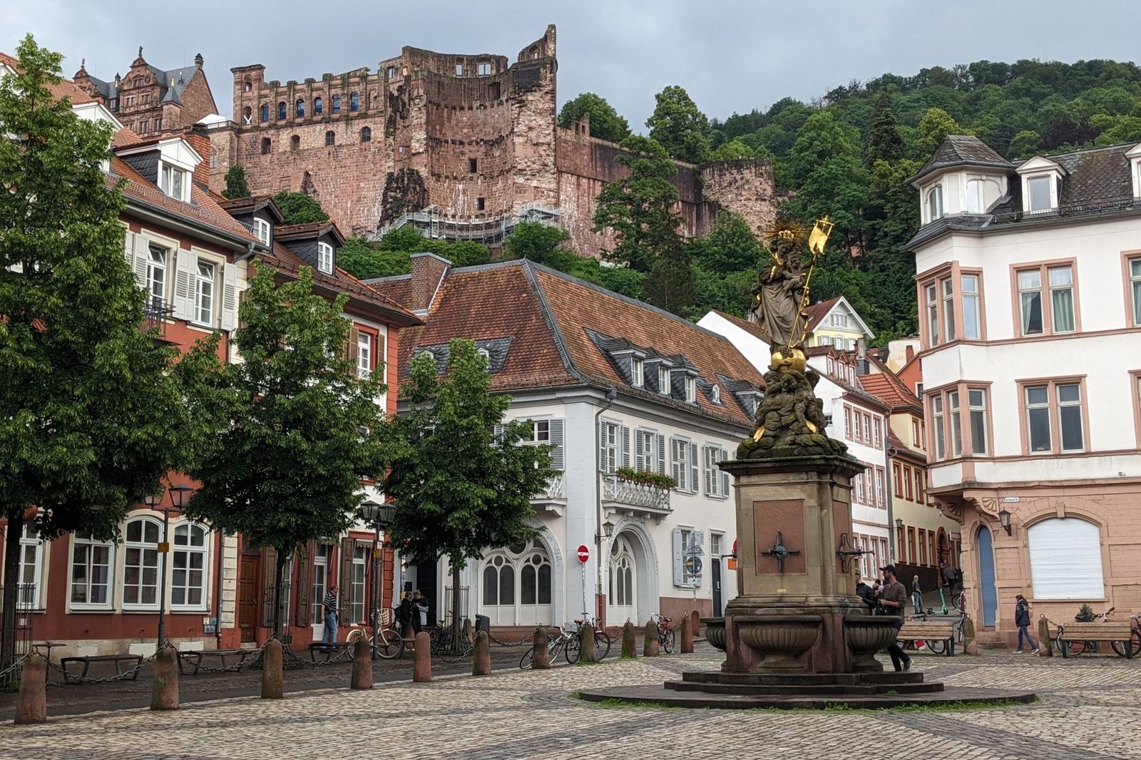 Heidelberger Martinszug 2026: Termine und Routen in 15 Stadtteilen